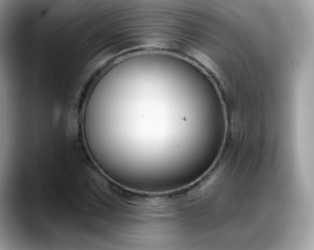 X0000088921067200706081355