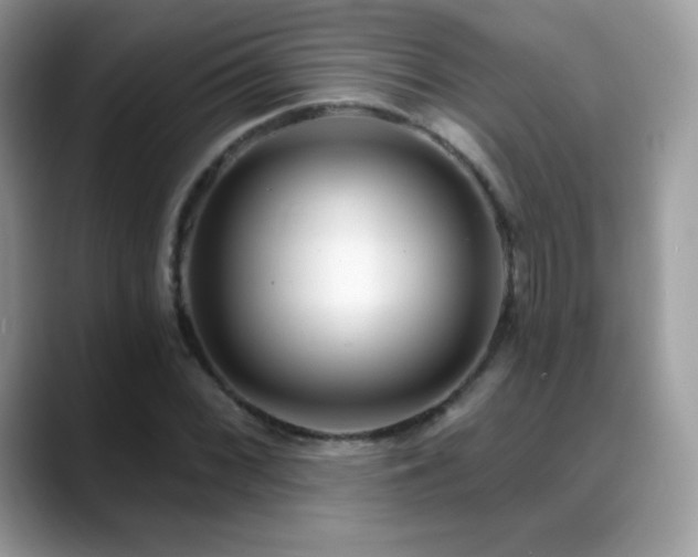 X0000088921068200706081355