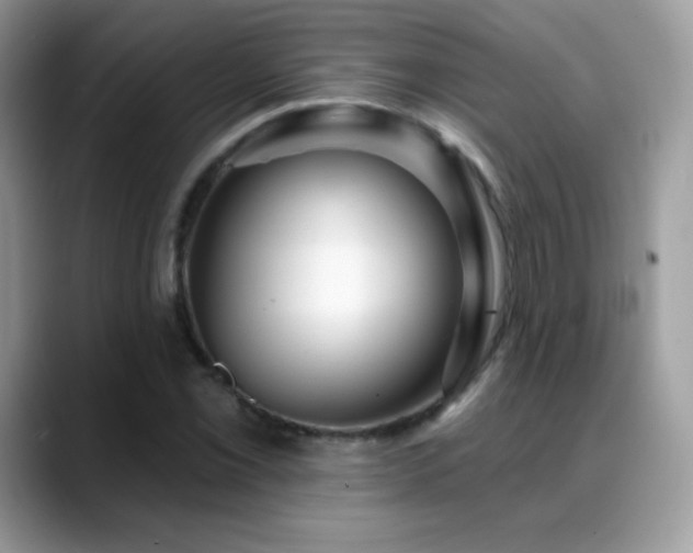 X0000088921069200706081355