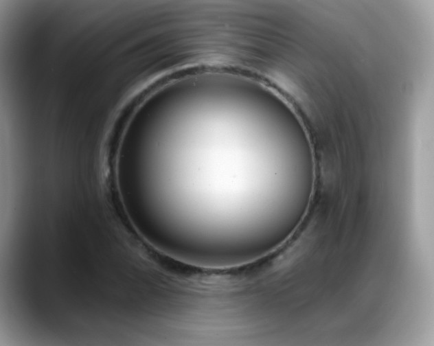 X0000088921070200706081355
