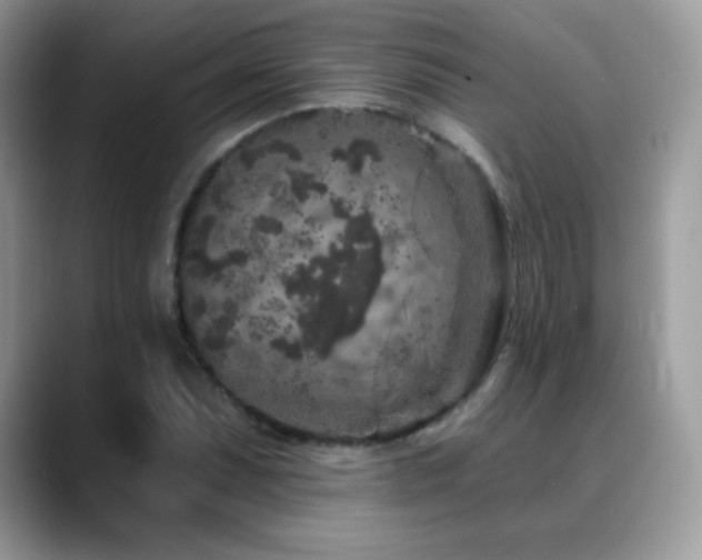 X0000088921071200706081355