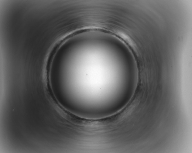 X0000088921072200706081355