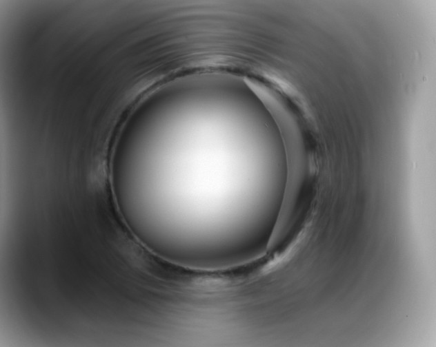 X0000088921073200706081355