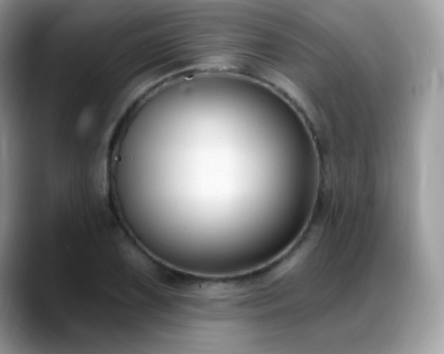 X0000088921075200706081355