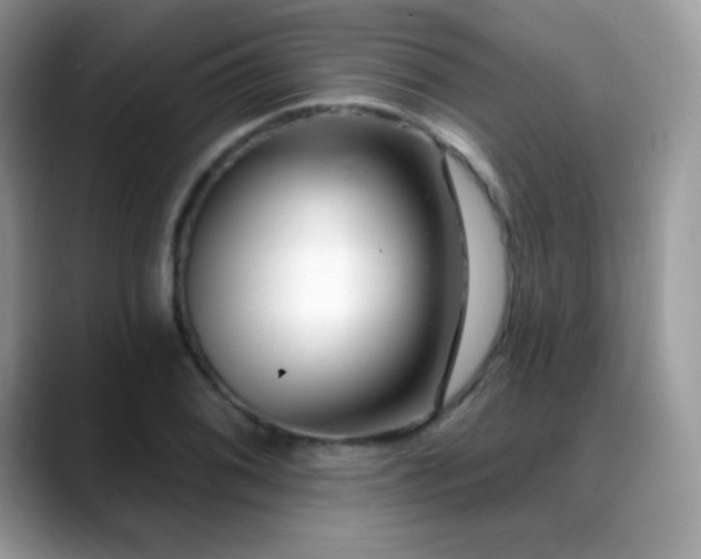 X0000088921076200706081355