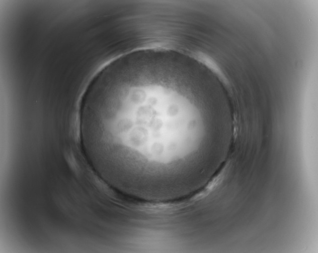 X0000088921079200706081355