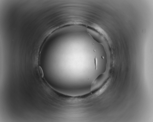 X0000088921081200706081355