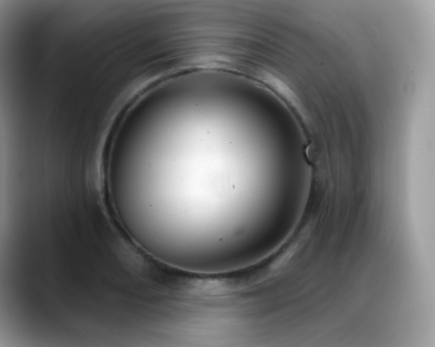 X0000088921082200706081355