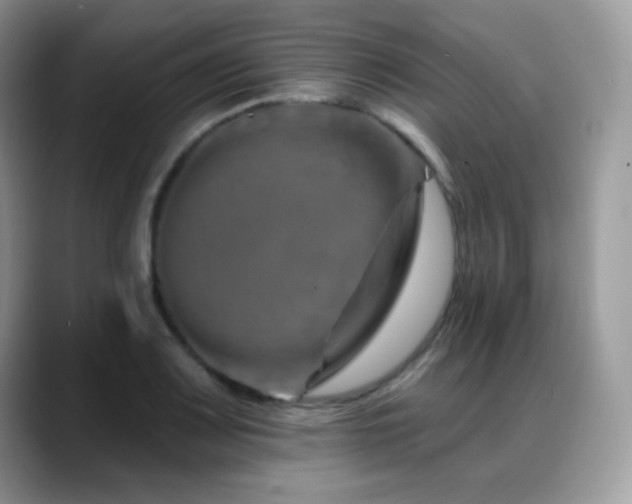 X0000088921083200706081355