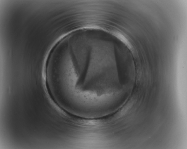 X0000088921084200706081355