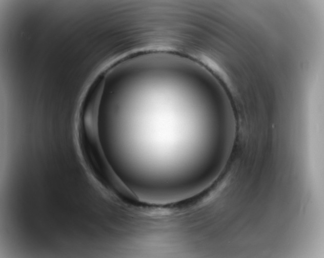 X0000088921085200706081355