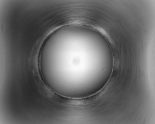 X0000088921086200706081355