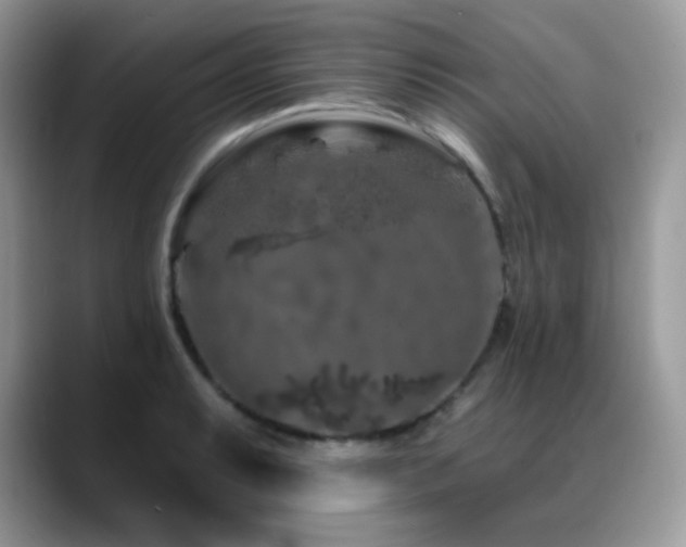 X0000088921087200706081355