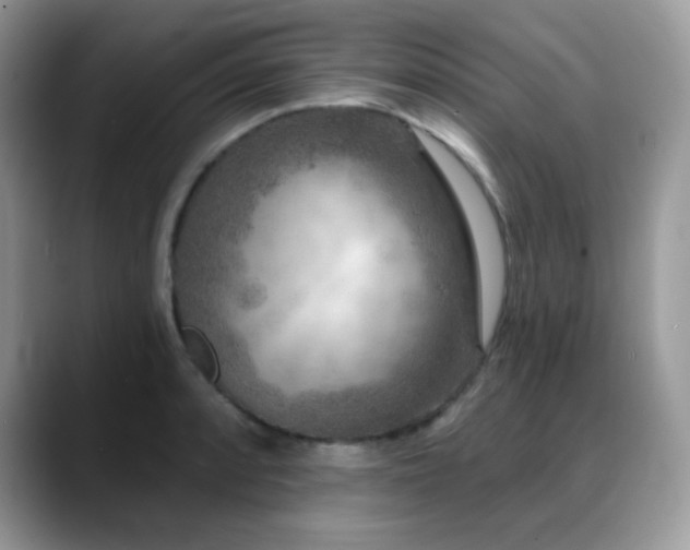 X0000088921088200706081355