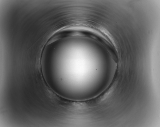 X0000088921089200706081355