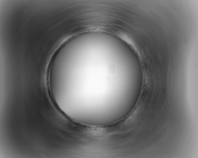 X0000088921090200706081355