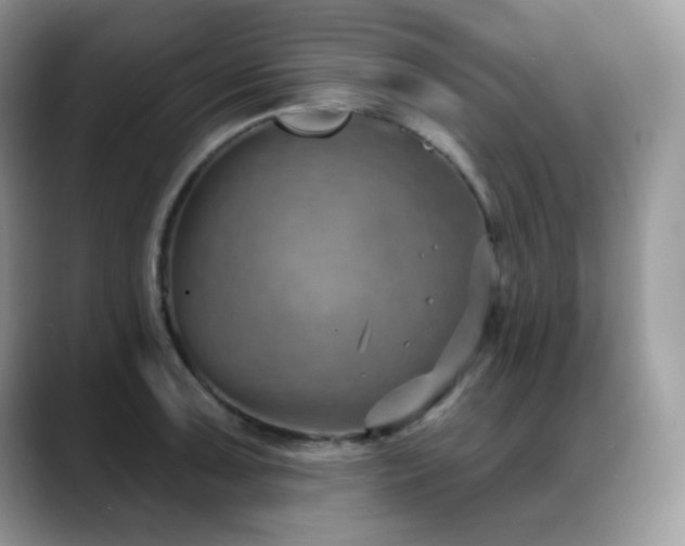 X0000088921091200706081355