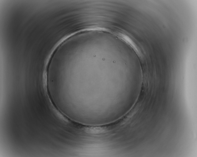 X0000088921092200706081355