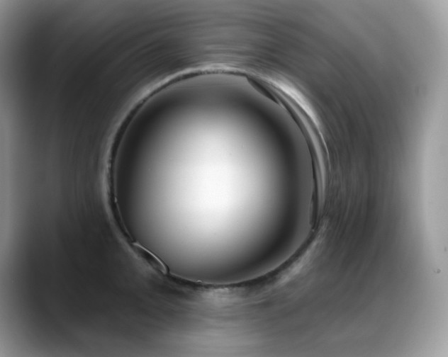 X0000088921093200706081355