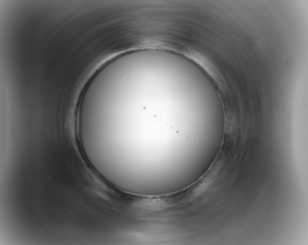 X0000088921094200706081355