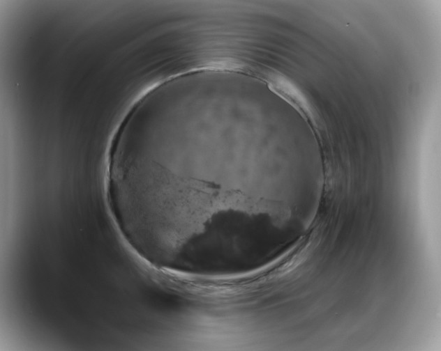 X0000088921095200706081355