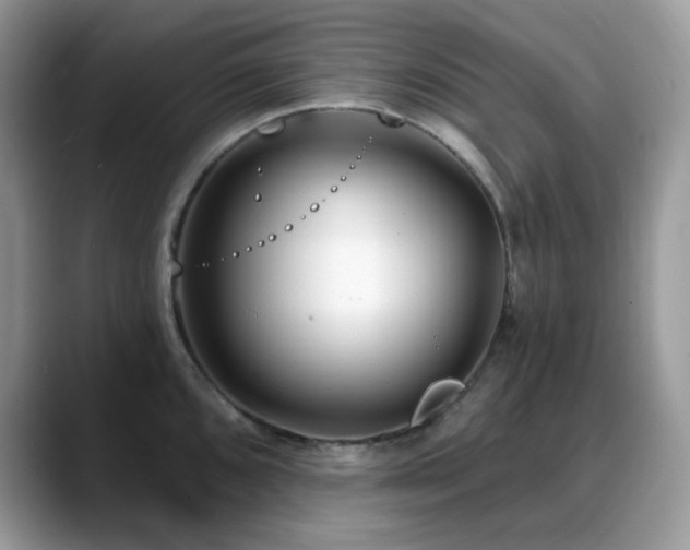 X0000088921096200706081355