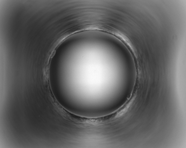 X0000088921097200706081355