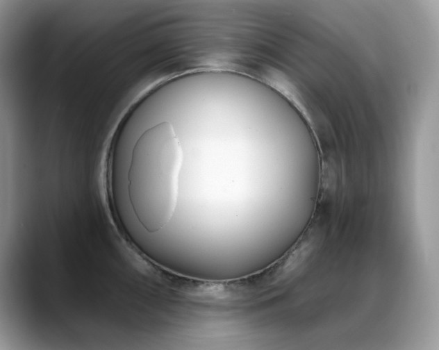 X0000088921098200706081355
