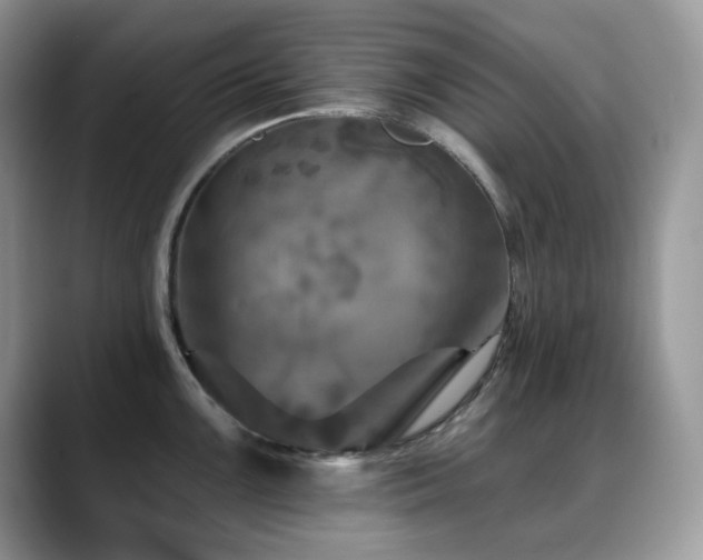 X0000088921099200706081355