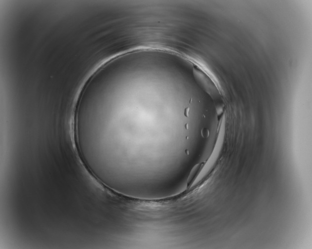X0000088921100200706081355