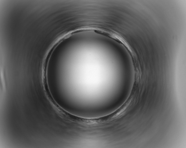 X0000088921101200706081355