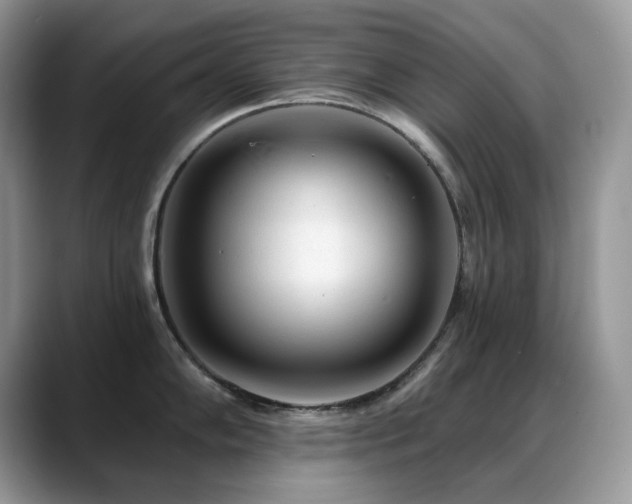 X0000088921102200706081355