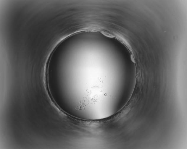 X0000088921103200706081355