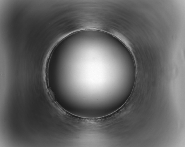 X0000088921104200706081355
