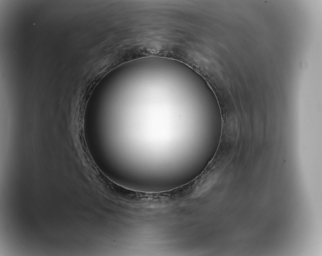 X0000088921105200706081354