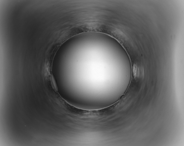 X0000088921107200706081354