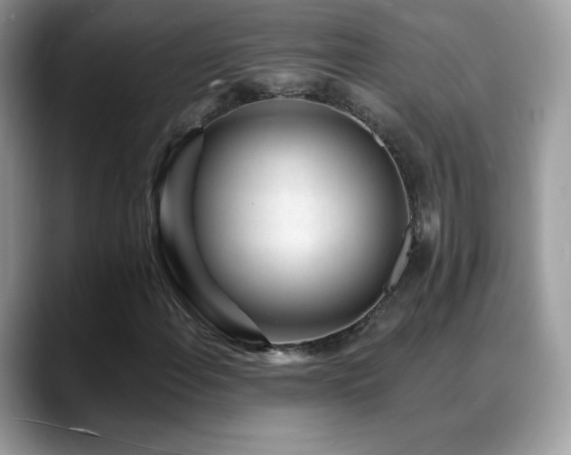 X0000088921108200706081354