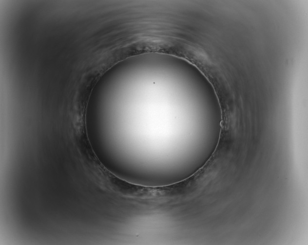 X0000088921109200706081354