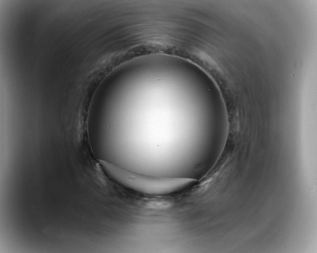 X0000088921110200706081354