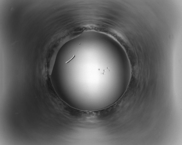 X0000088921111200706081354