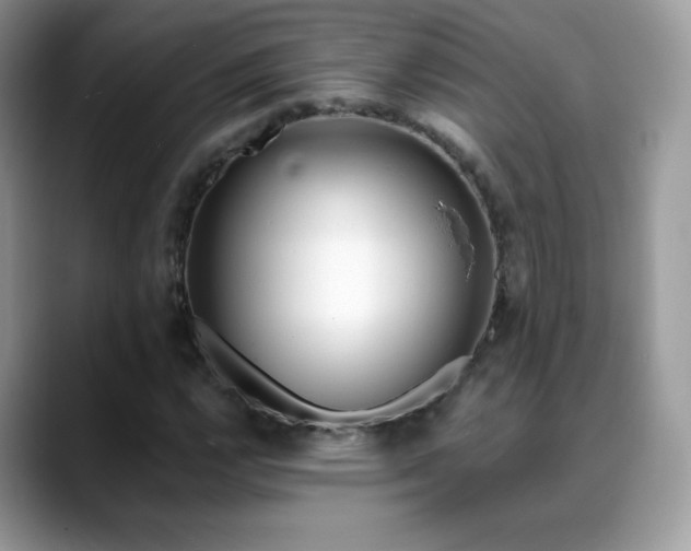 X0000088921112200706081354