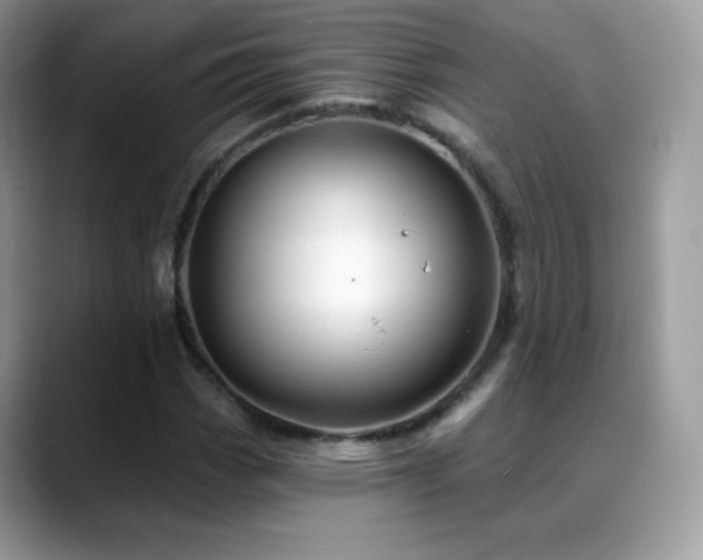 X0000088921113200706081354