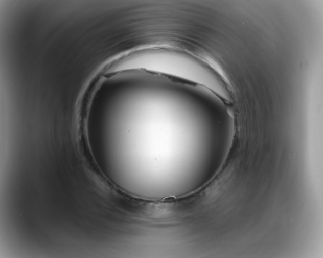 X0000088921116200706081354