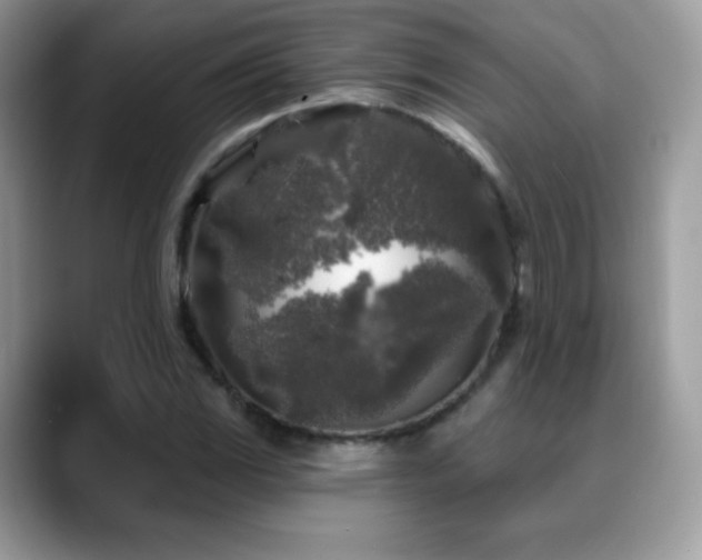 X0000088921117200706081354