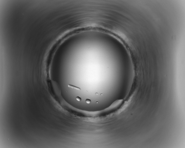 X0000088921118200706081354