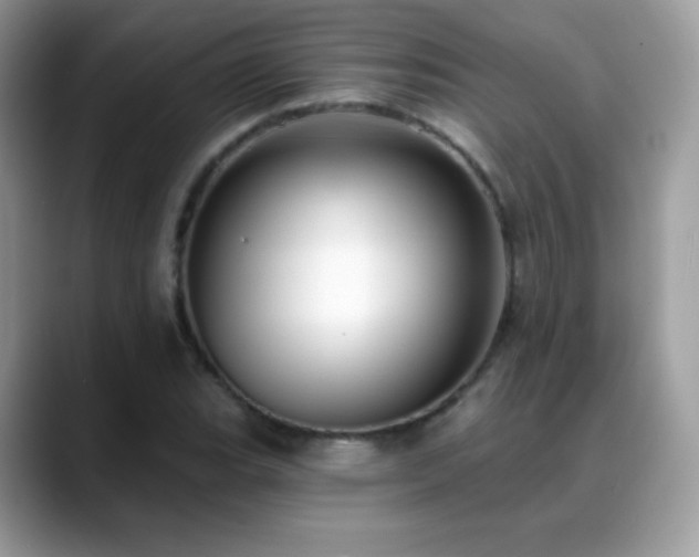 X0000088921119200706081354
