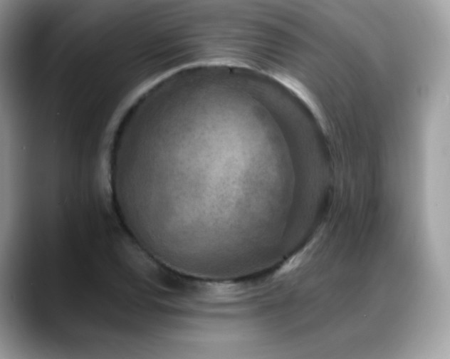 X0000088921120200706081354