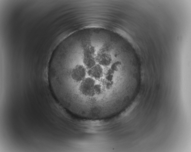 X0000088921121200706081354