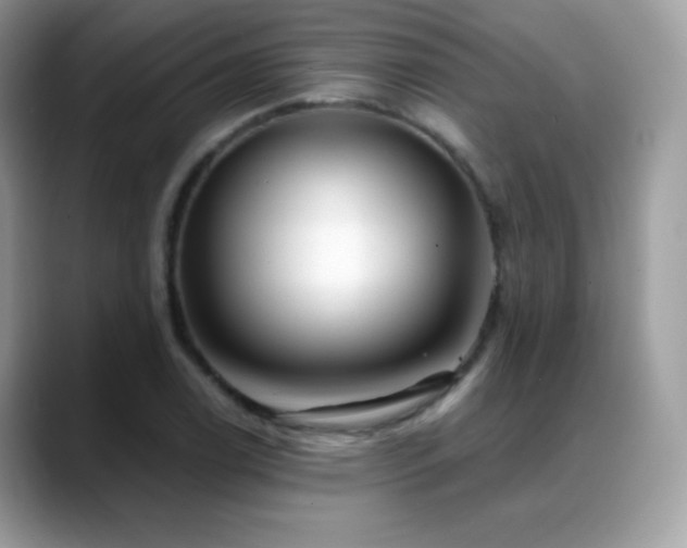X0000088921122200706081354