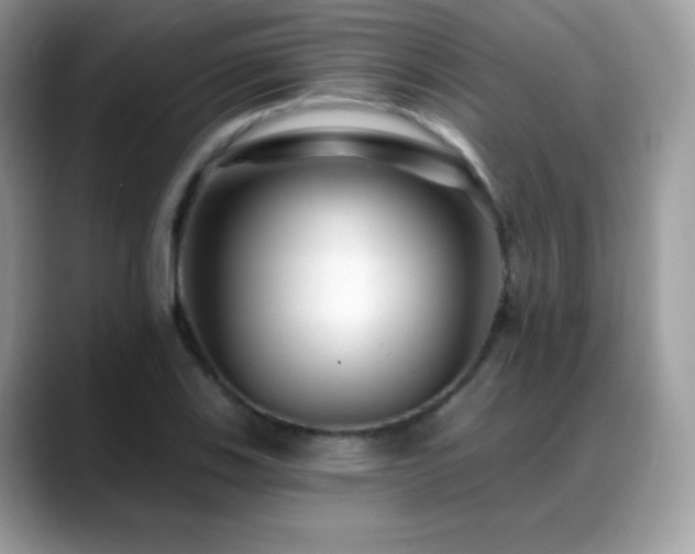 X0000088921123200706081354